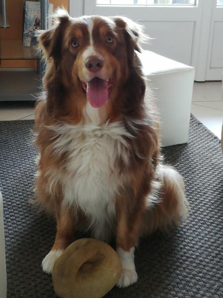 Jango