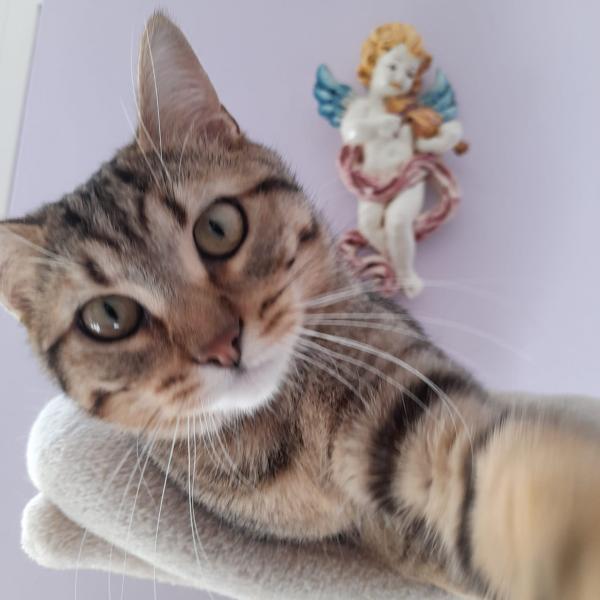 Leo