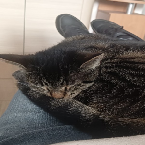 Nala