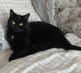 Nala