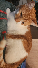 Manny