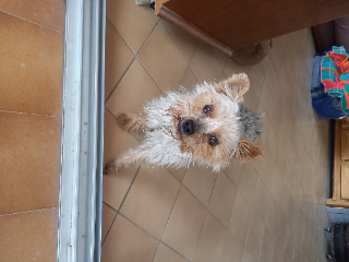 USKO