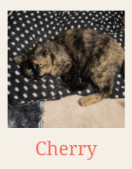 Cherry