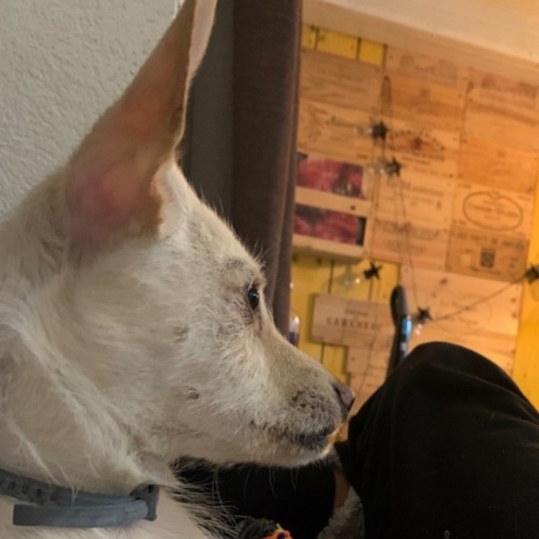 Marley