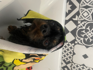 Max