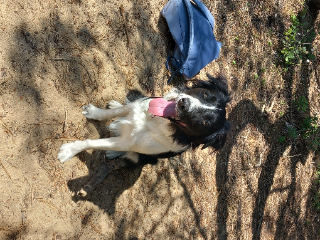 TINA