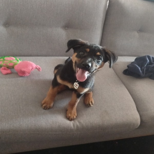 Bella