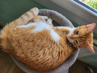 Winnie