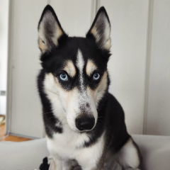 Marley
