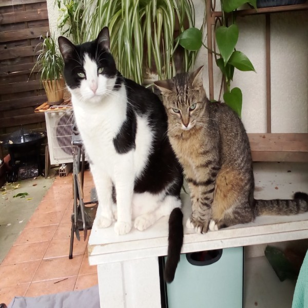 Boulette et Pénélope