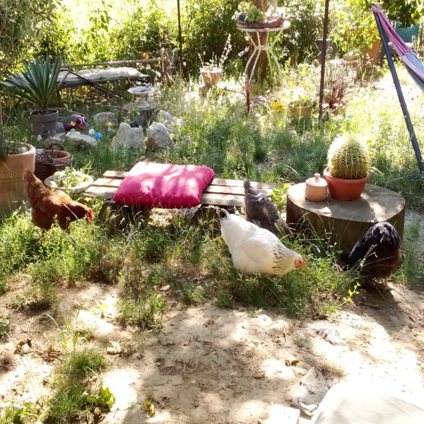 Poulettes
