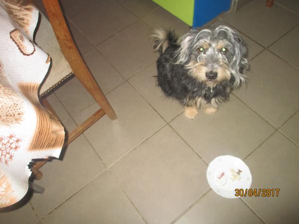 MALIN