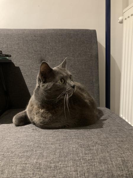 Nimbus