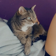 Ino