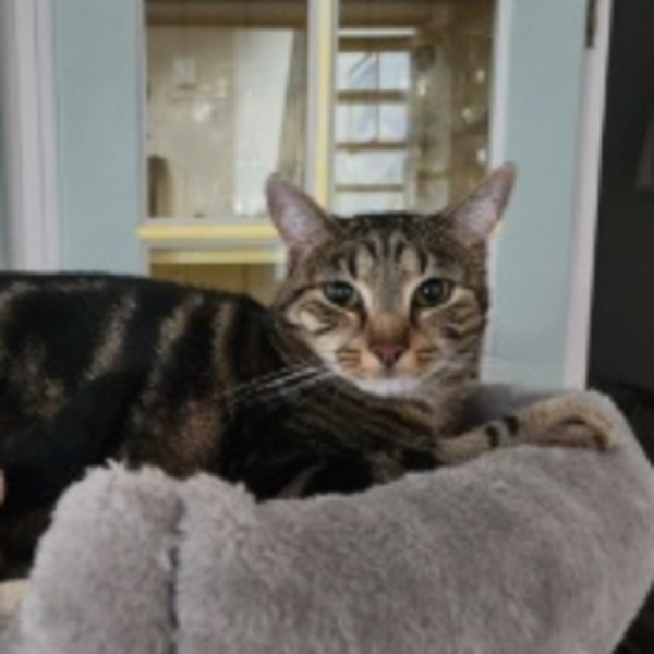 Tom