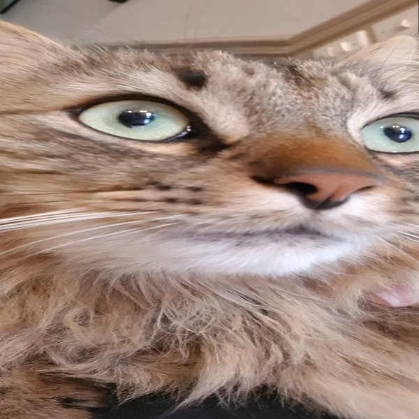 Scratch