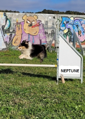 Neptune