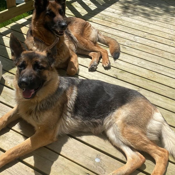 ISIS