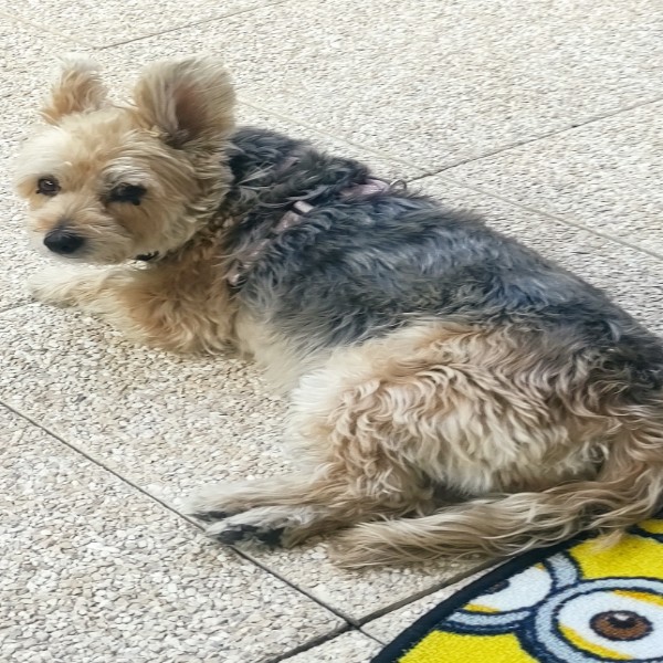 Zoé