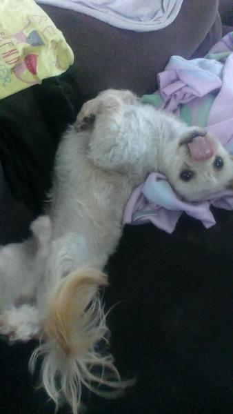 charly