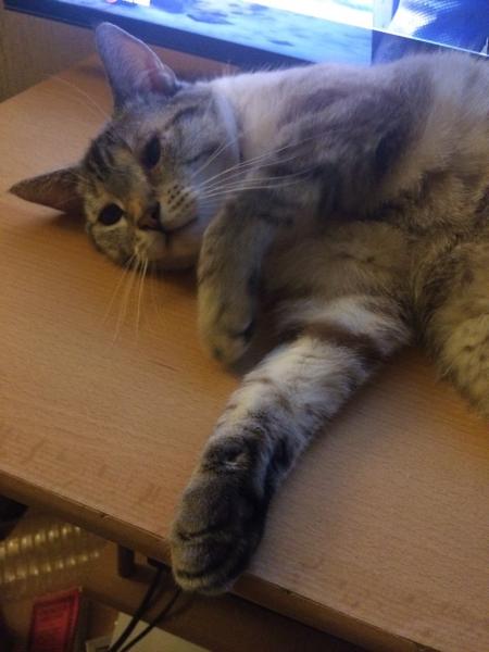 Louna