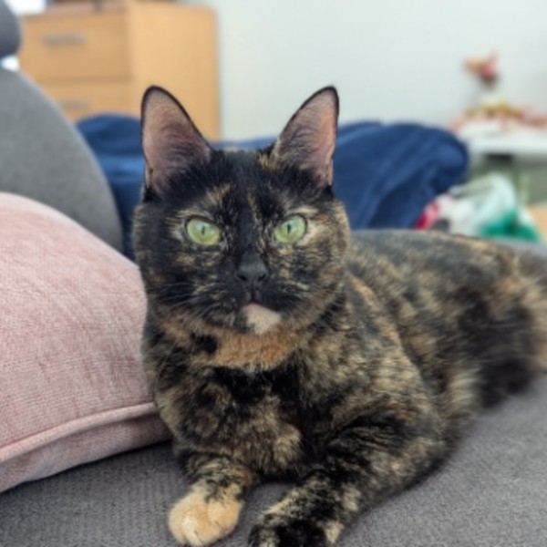 Lilou