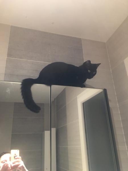 Odin