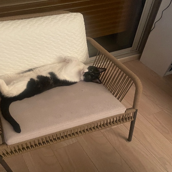 Django