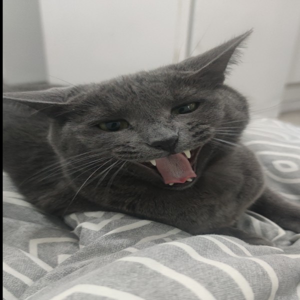 Léon