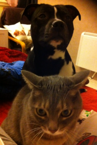 titou