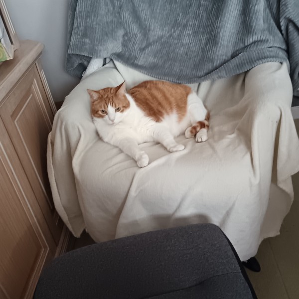 Mimi