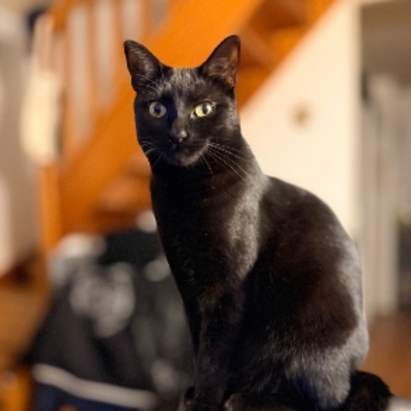 Luna