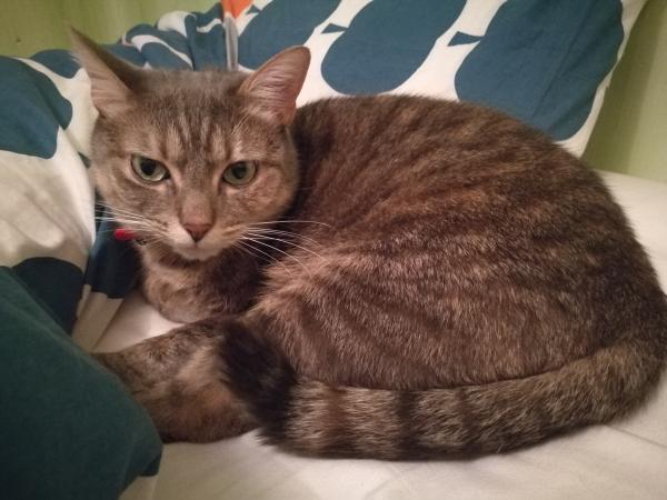 Lili