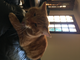 CHARLIE