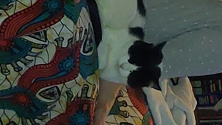 Boupie