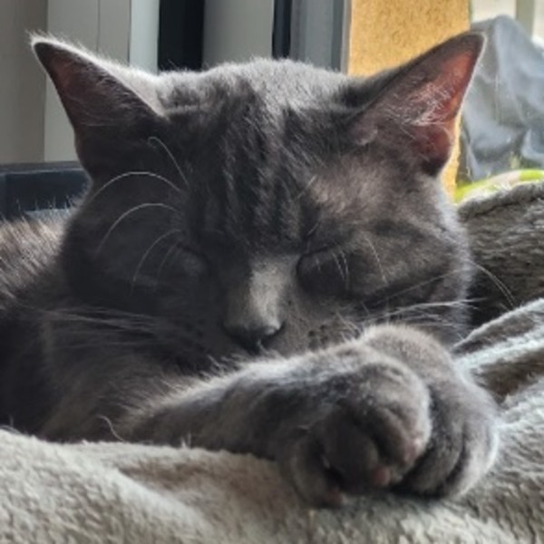 Phobos