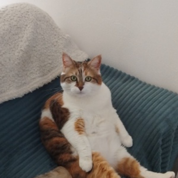 Bianca