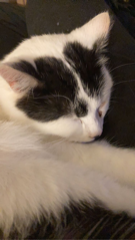 Charlie
