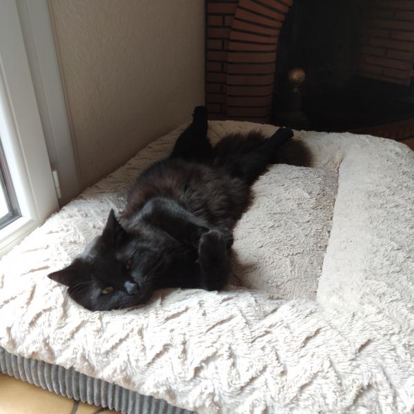 Blacky