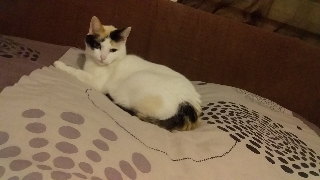 POUPETTE