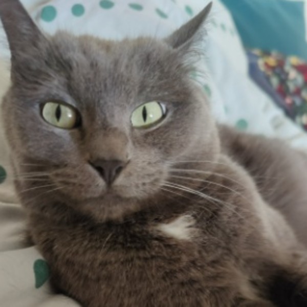 Chiqui
