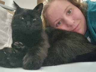 JiJi