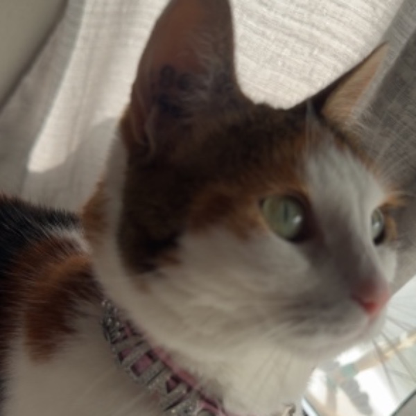 Luna