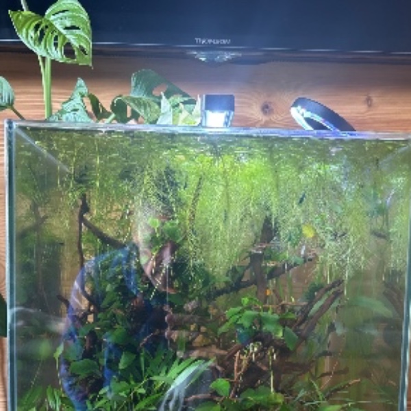 aquarium 1