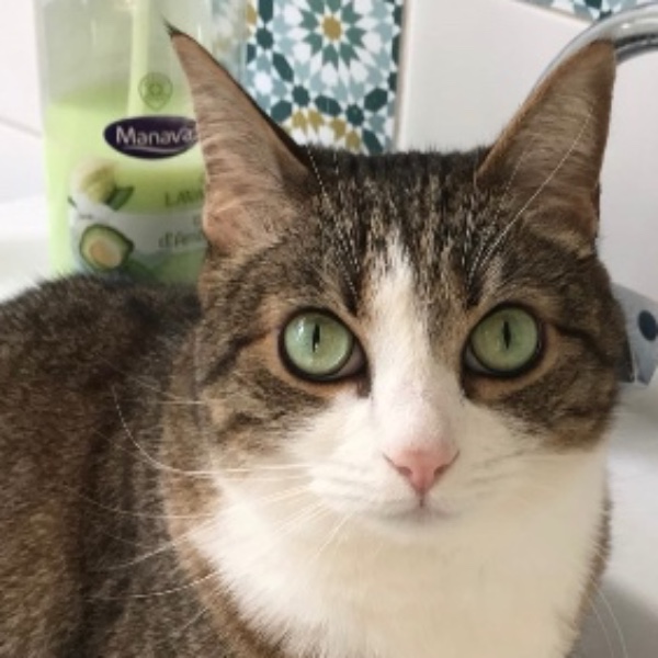 Kimy