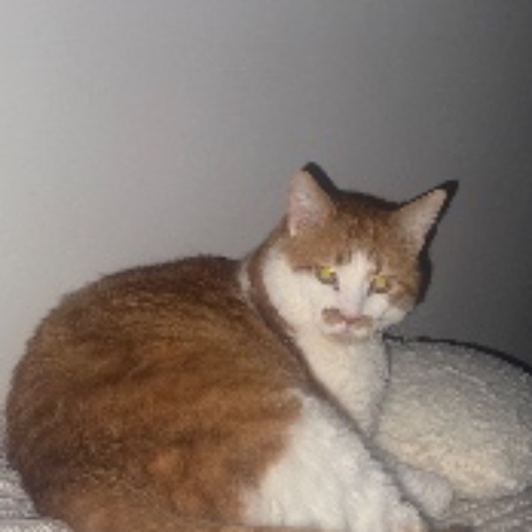 Peter