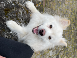 Eiko
