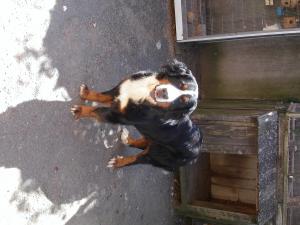 Billy