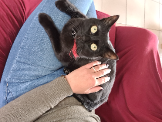 Pixel