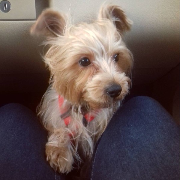 Roxy